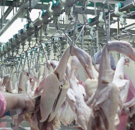 WINTHAI FOOD COMPANY LIMITED